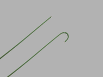 Double Flexible-Tipped Wire Guide