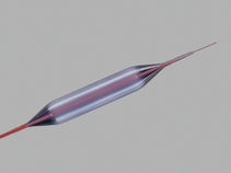 Eclipse™ TTC Wire-Guided Balloon Dilator