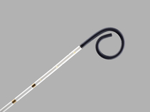 Aurous Centimeter Sizing Catheter