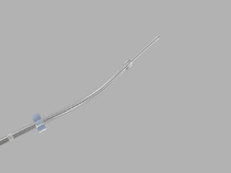 Guardia Access Curved Embryo Transfer Catheter -  web