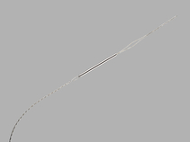 Bulldog Lead Extender 2