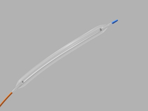 Advance 18LP Low-Profile PTA Balloon Dilatation Catheter