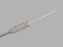 Zilver 635®; Biliary Self-Expanding Stent