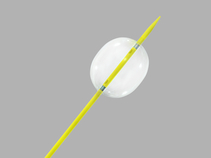 Coda Balloon Catheter