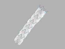 Zenith Alpha™ Thoracic Endovascular Graft Proximal 4 mm Tapered Component