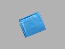 Sentrus™ Endoscope Transport Bag