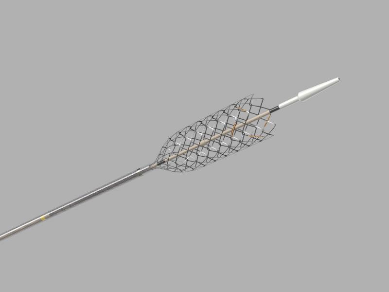 Taewoong Niti-S™ D Biliary Stent