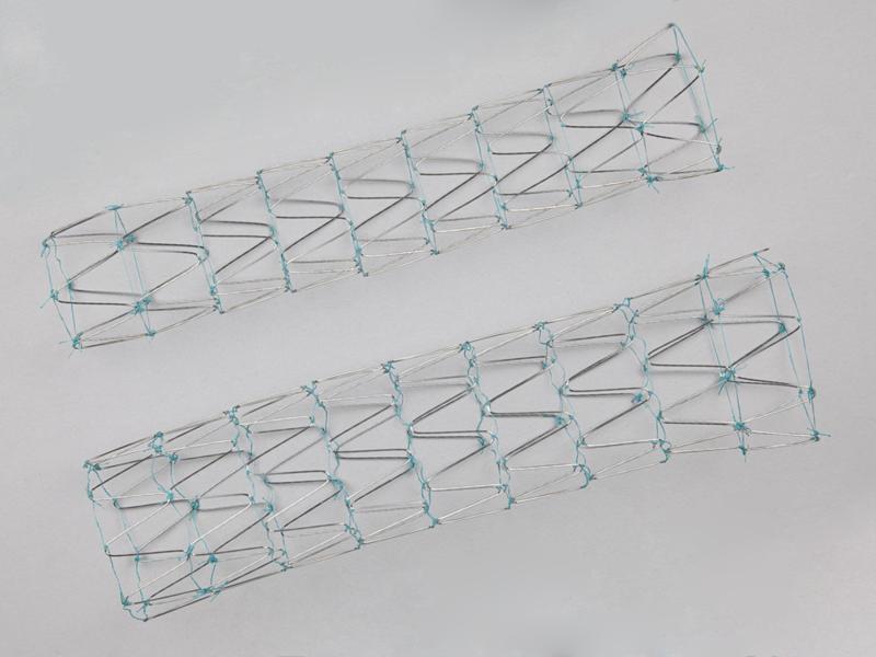 Zenith® Dissection Endovascular Stent